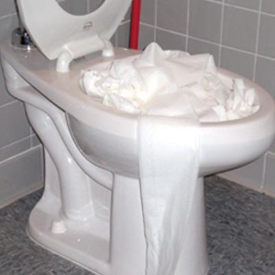 unclog-that-toilet